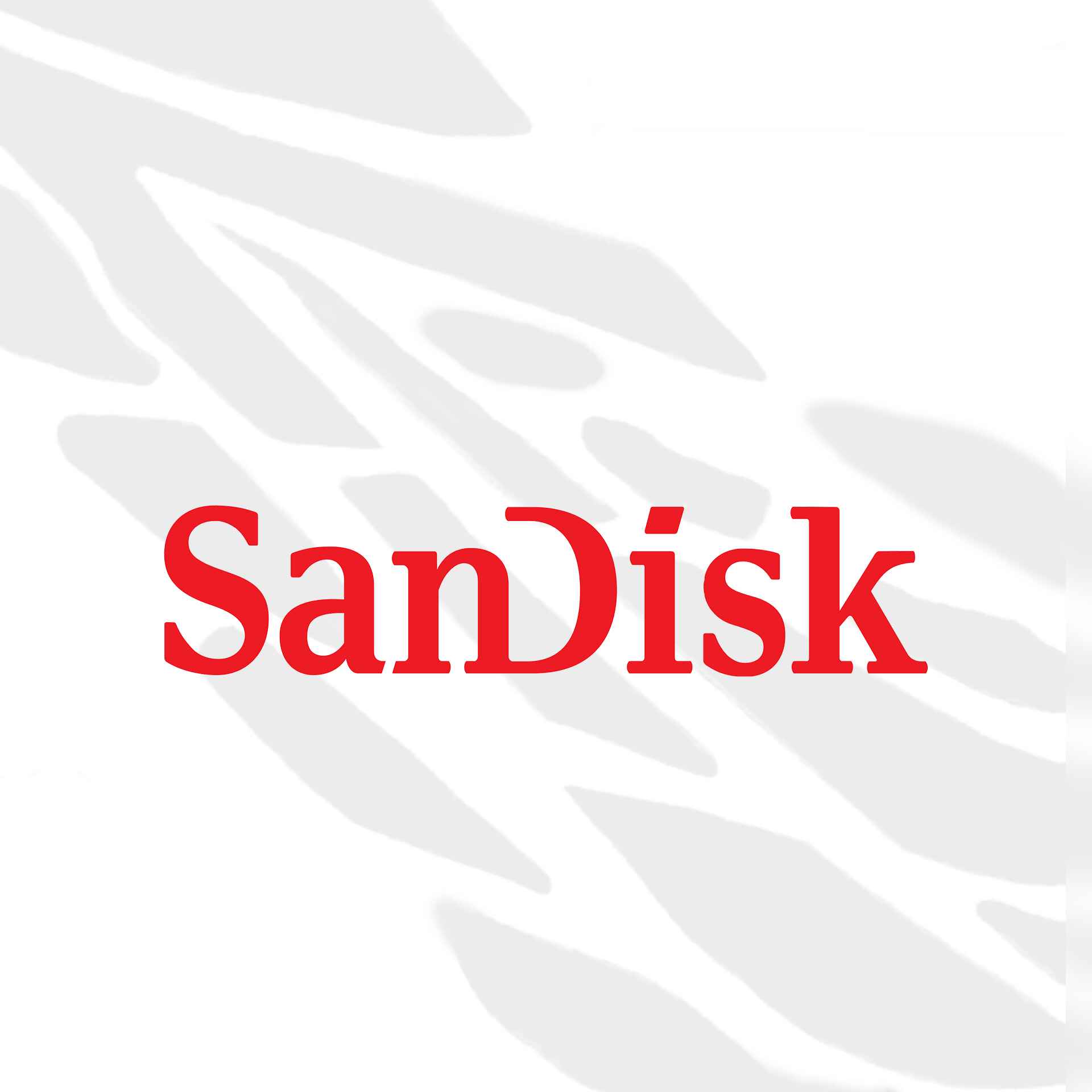 سن دیسک - SanDisc